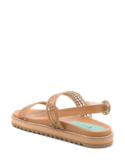 Shop Blue Bird Shoes Tressê Leather Sandals In Brown
