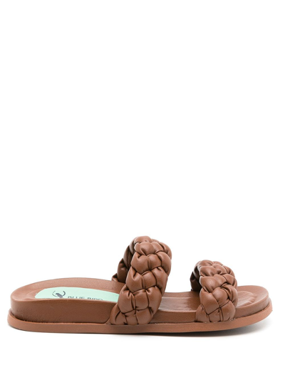 Shop Blue Bird Shoes Woven-strap Sandals In Brown