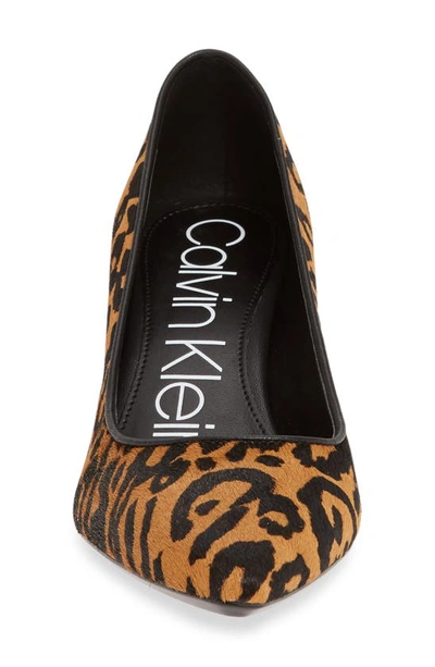 Shop Calvin Klein Nita Pointed Toe Pump In Animal Print Calf Hair