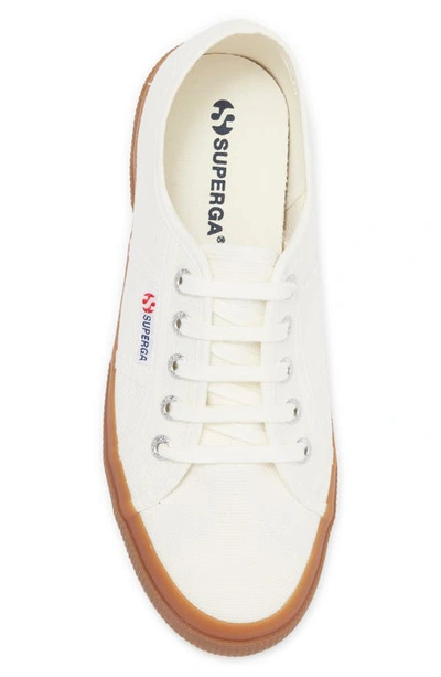 Shop Superga Cotu Sneaker In White / Dark Gum