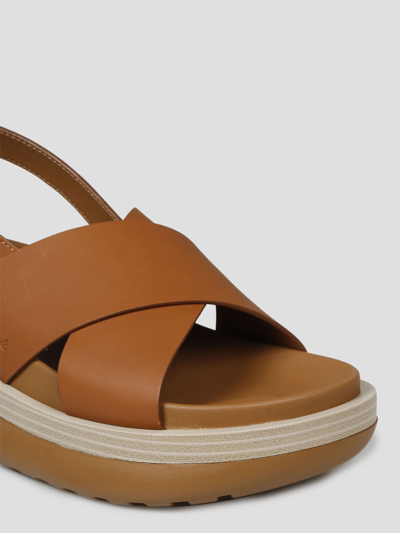Shop See By Chloé Cicily Sandals In Brown