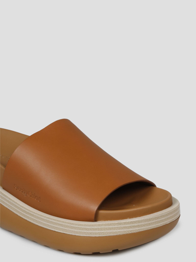 Shop See By Chloé Cicily Sabot Sandals In Brown