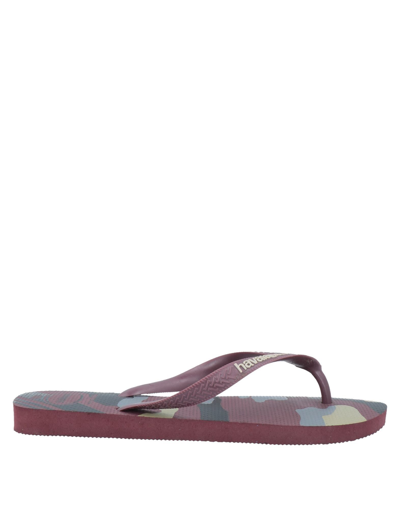 Shop Havaianas Man Thong Sandal Burgundy Size 10 Rubber In Red