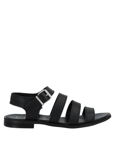 Shop Le Pepite Woman Sandals Black Size 7 Calfskin