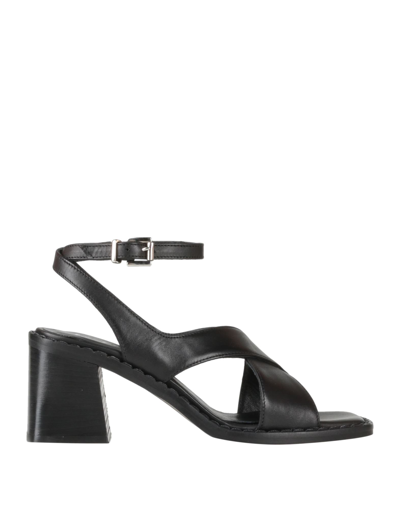 Shop Le Pepite Woman Sandals Black Size 8 Calfskin