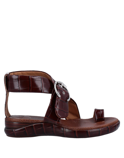 Shop Chloé Toe Strap Sandals In Cocoa