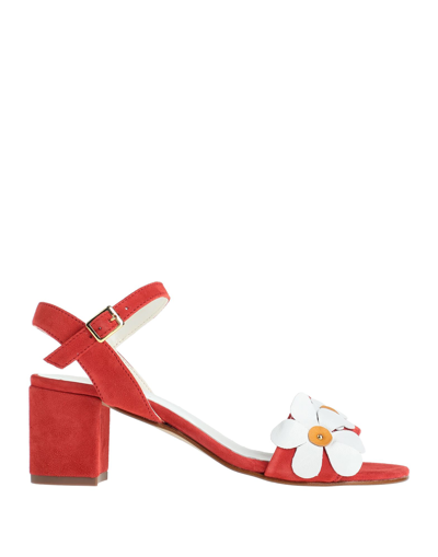 Shop Carlo Pazolini Woman Sandals Coral Size 7 Soft Leather In Red