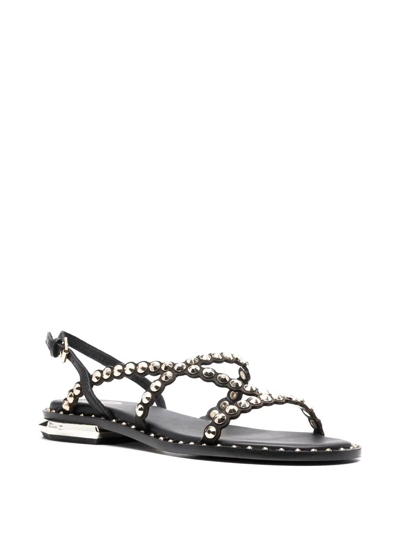 Shop Ash Paolo Studded Leather Sandals In Schwarz