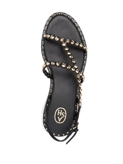 Shop Ash Paolo Studded Leather Sandals In Schwarz