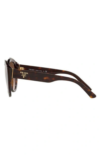 Shop Prada 56mm Cat Eye Sunglasses In Havana/ Brown Gradient