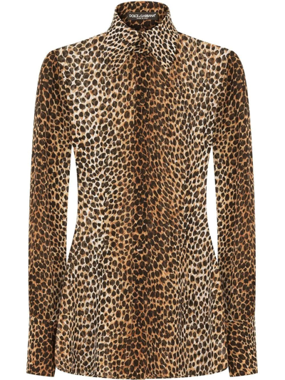 Shop Dolce & Gabbana Leopard Print Brown Shirt