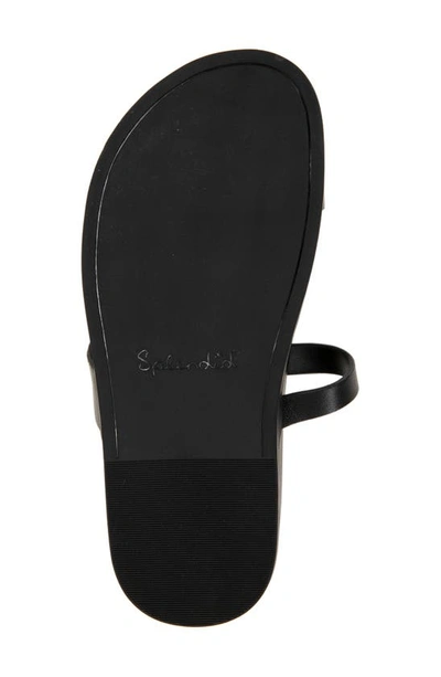 Shop Splendid Nessa Strappy Sandal In Black