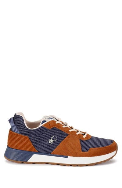 Spyder Maxwell Sneaker In Brown Spice