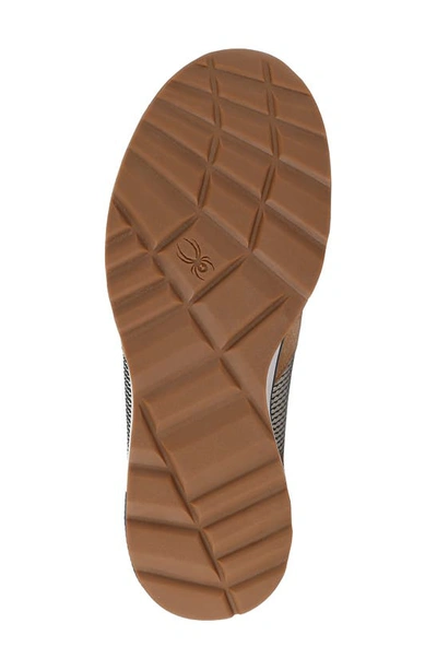 Spyder Maxwell Sneaker In Sherwood Tan
