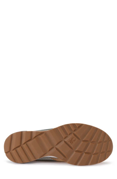 Spyder Maxwell Sneaker In Sherwood Tan