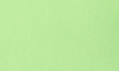 Foxcroft Pamela Stretch Button-up Tunic In Sweet Kiwi