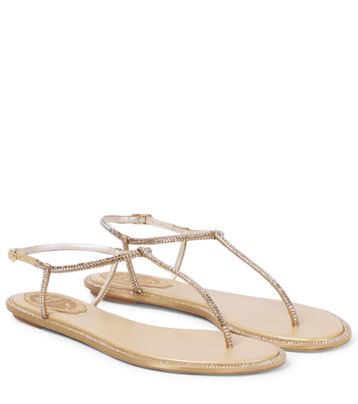 Shop René Caovilla Diana Embellished Thong Sandals In Beige /c.golden Shadow Strass