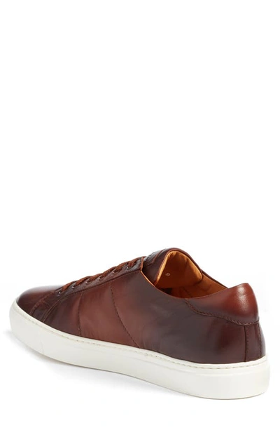 Shop To Boot New York Colton Sneaker In Brown Leather