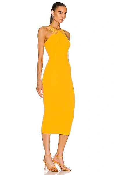 Shop Self-portrait Inserted Lace Knit Dress In Canary Yellow
