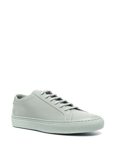 Shop Common Projects Original Achilles Low Top Sneakers In Green