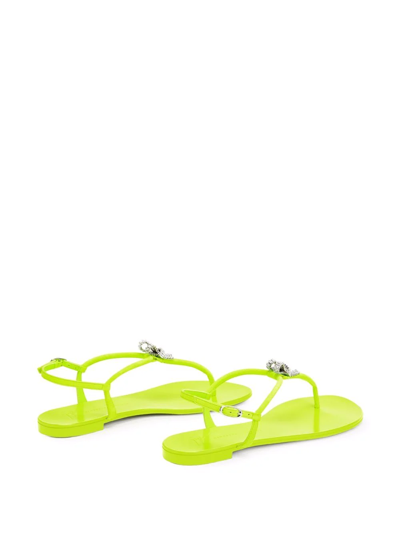 Shop Giuseppe Zanotti Clementyne Crystal-charm Sandals In Yellow
