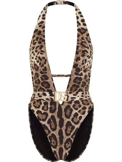 Dolce & Gabbana Leopard-print Belted One-piece Swimsuit In Brown