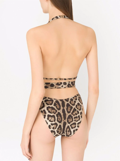 Dolce & Gabbana Leopard-print Belted One-piece Swimsuit In Brown