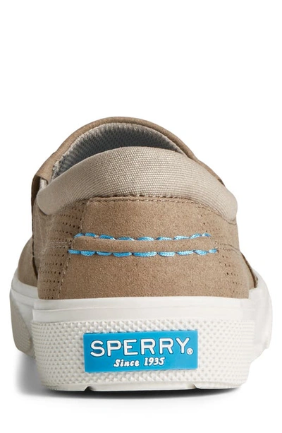 Shop Sperry Top-sider Haylard Plushstep Slip-on Sneaker In Taupe
