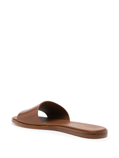 Shop Common Projects Flat Leather Slides In Brown