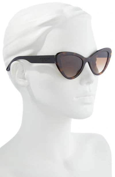 Shop Prada 52mm Cat Eye Sunglasses In Brown Havana