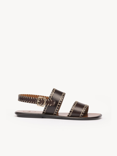 Shop Chloé Laia Flat Sandal Brown Size 5.5 100% Calf-skin Leather