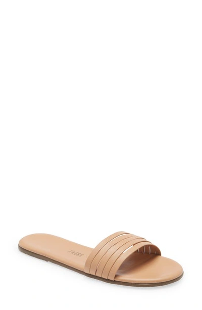 Shop Tkees Austyn Slide Sandal In Pout