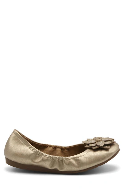 Shop Mootsies Tootsies Scrunch Ballet Flat In Taupe