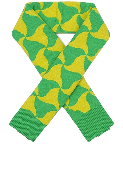 Bottega Veneta Ribbed-knit Patterned Scarf In Parakeet & Kiwi