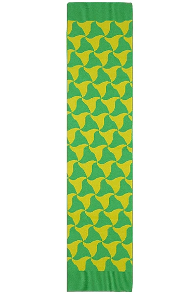 Bottega Veneta Ribbed-knit Patterned Scarf In Parakeet & Kiwi