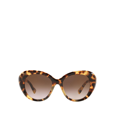 Shop Valentino Va4113 Light Havana Female Sunglasses