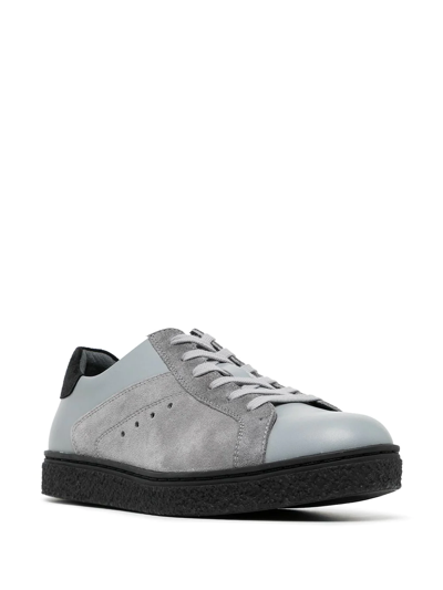 Shop Onitsuka Tiger Mitio Low-top Sneakers In Grey