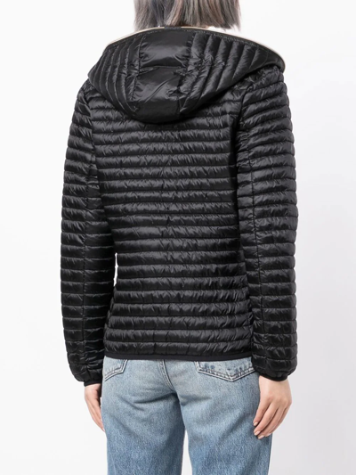 Save The Duck Black Andreina Down Jacket In Schwarz