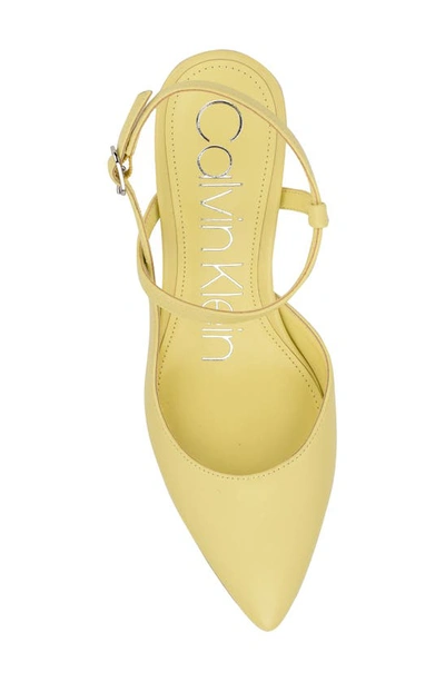 Calvin Klein Women's Gaella Pointy Toe Pumps Women's Shoes In Vapor |  ModeSens