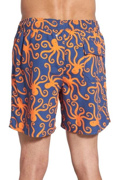 Shop Tom & Teddy 'octopus Pattern' Swim Trunks In Blue/ Orange