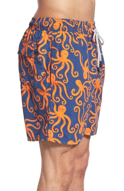 Shop Tom & Teddy 'octopus Pattern' Swim Trunks In Blue/ Orange