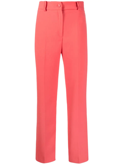 Shop Hebe Studio Tailored High-waisted Trousers In Pink