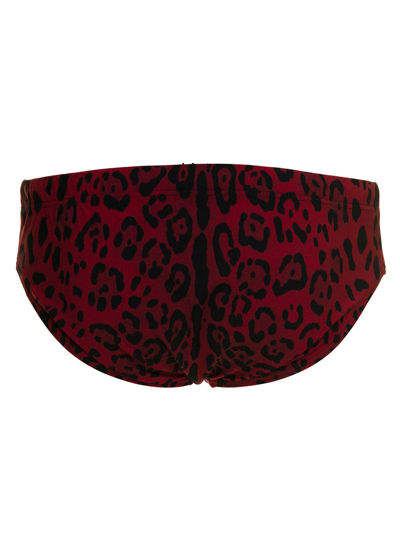 Shop Dolce & Gabbana Men's Animal Printed Swim Briefs In Red