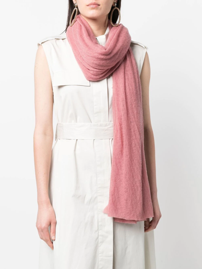 Shop Botto Giuseppe Cashmere Knit Scarf In Rosa