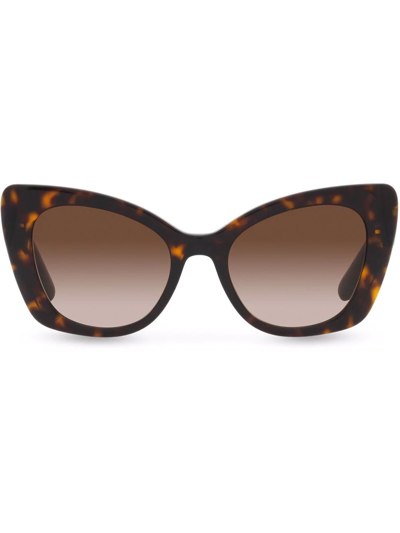 Dolce & Gabbana Dg Crossed Sunglasses In Havana | ModeSens display picture 3
