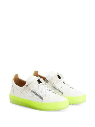 Giuseppe Zanotti Frankie Low-top Sneakers In White