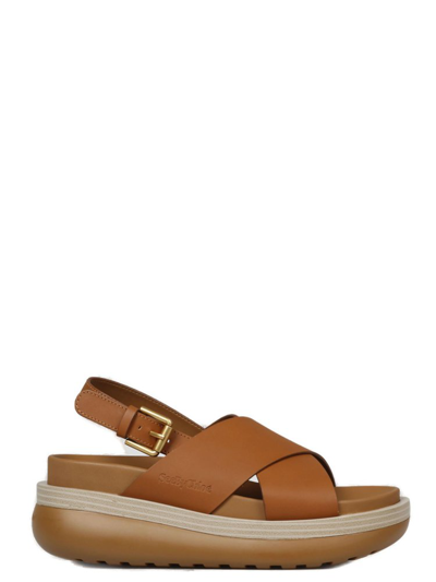 Shop See By Chloé Cicily Logo Detailed Sandals In Brown