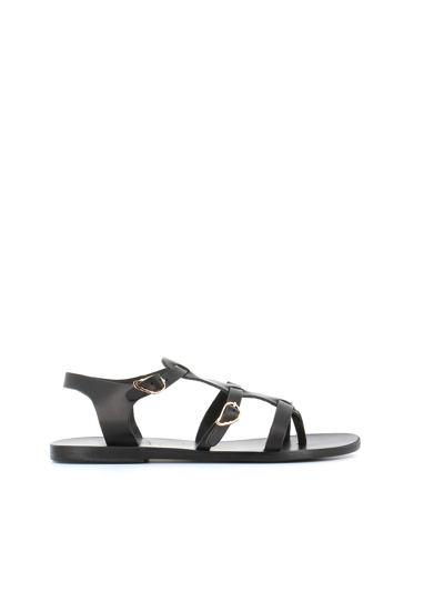 Shop Ancient Greek Sandals Sandals Grace Kelly In Black