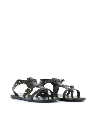 Shop Ancient Greek Sandals Sandals Grace Kelly In Black