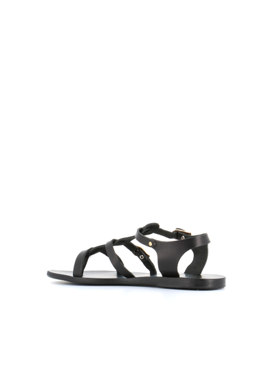 Shop Ancient Greek Sandals Sandals Grace Kelly In Black